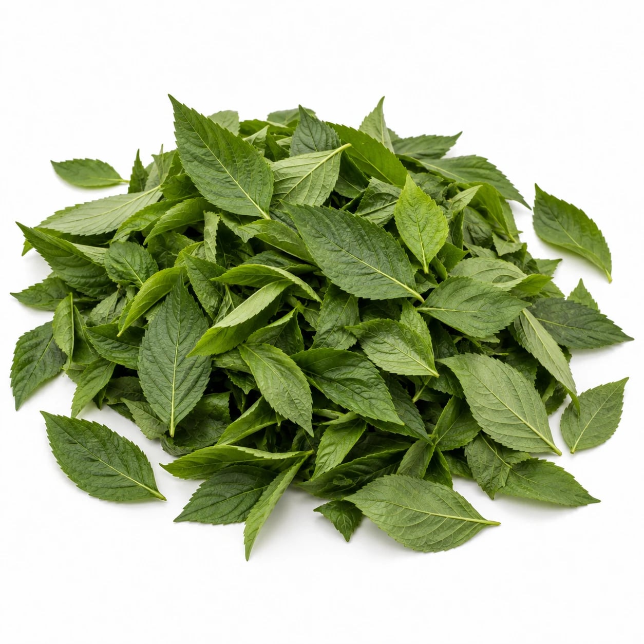 ملوخية مفروطة
