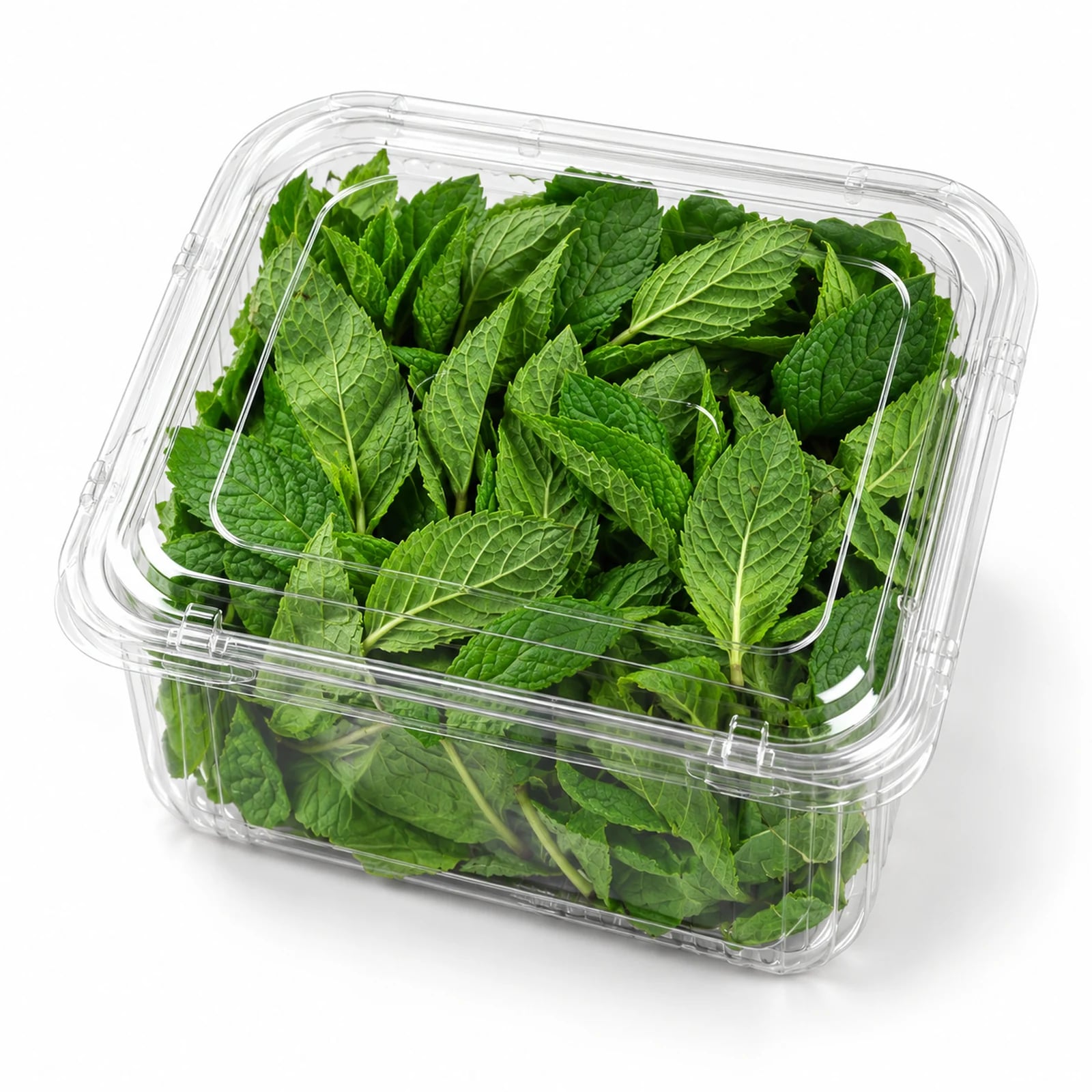 نعنع — علبة