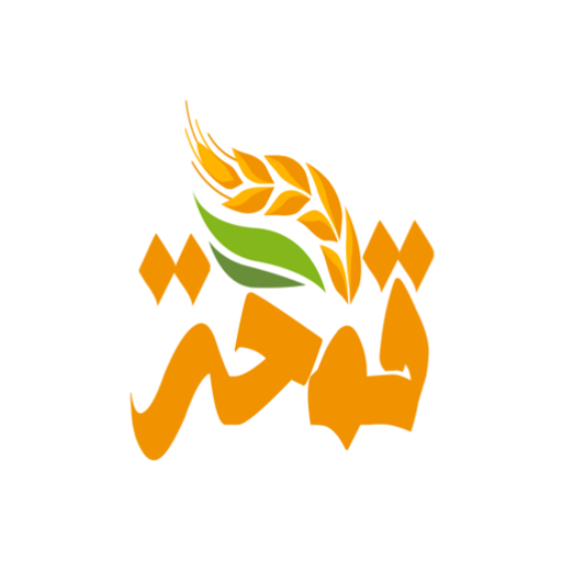 cropped cropped cropped 1.png